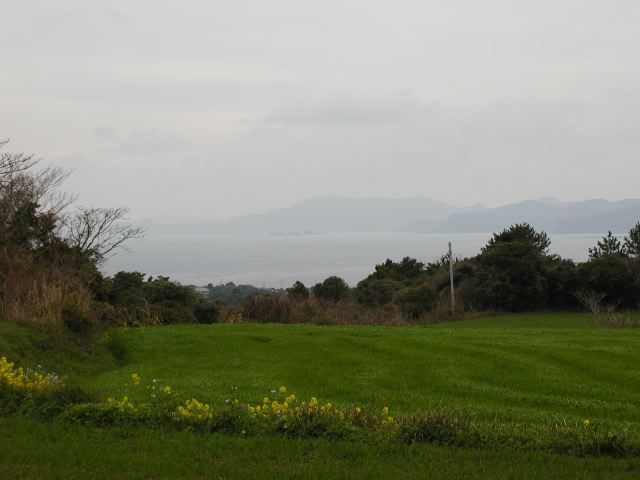 m_P3150017.JPG