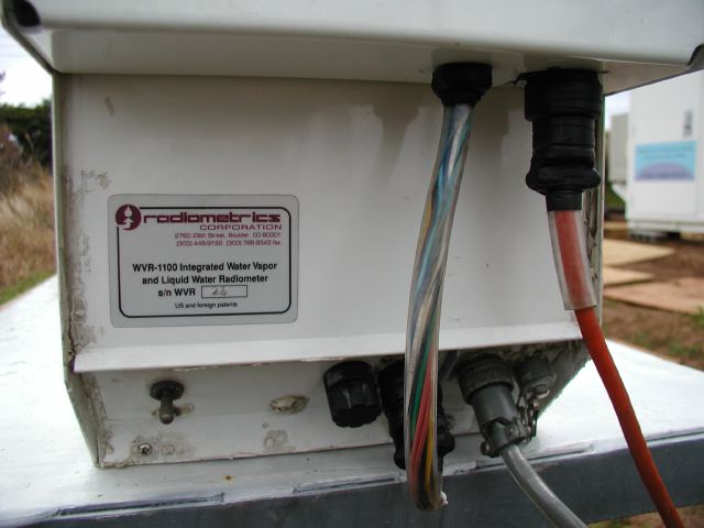 m_P3170045.JPG