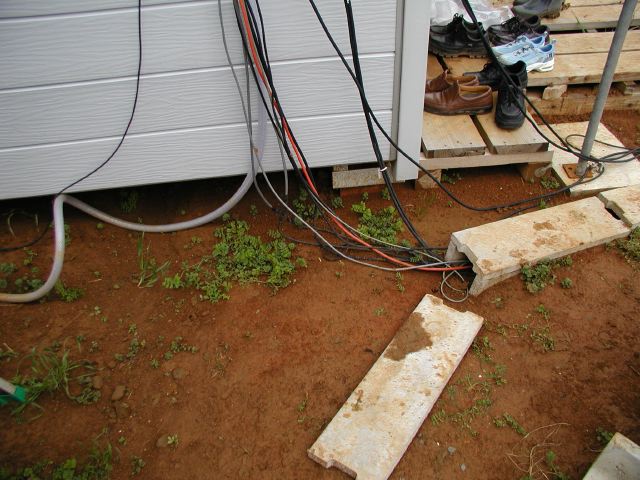 m_P3170050.JPG