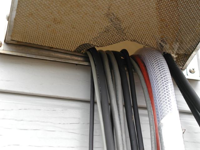 m_P3170051.JPG