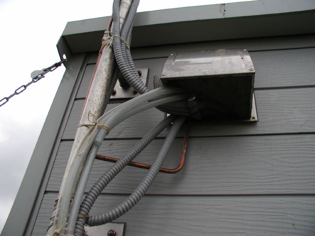 m_P3170053.JPG