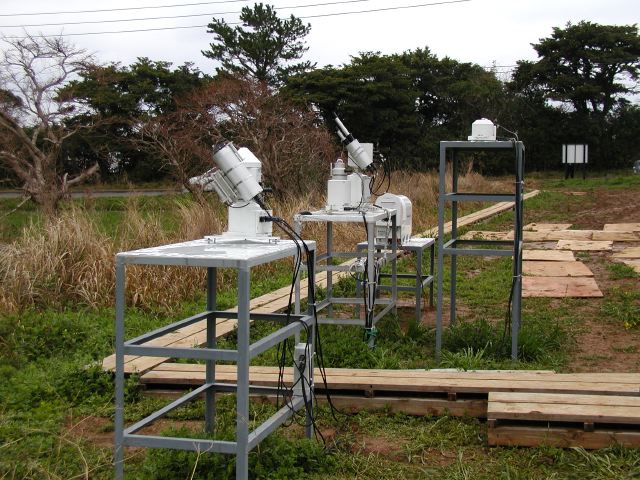 m_P3170058.JPG
