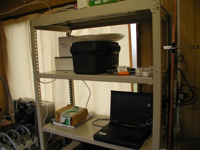 m_P3170067.JPG