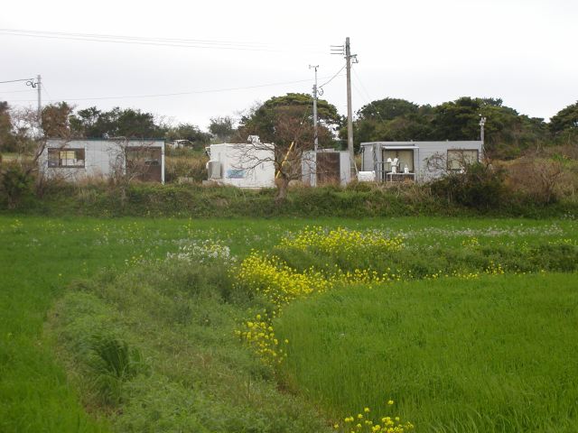 m_P4020031.JPG