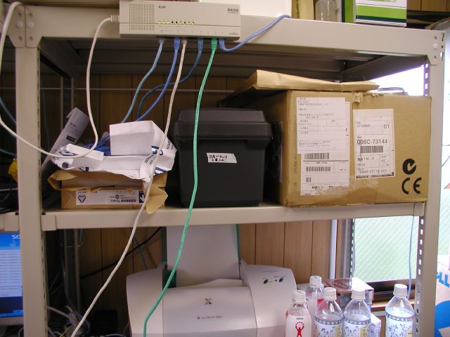 m_P5140021.JPG