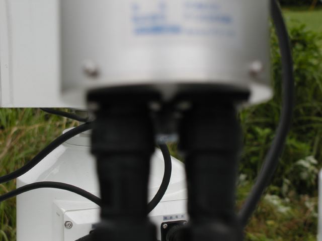 m_P5140037.JPG