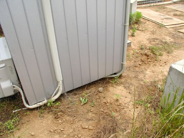 m_P6040045.JPG