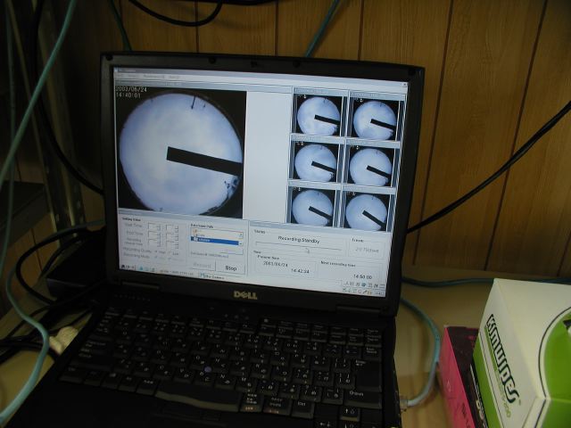 m_P6240127.JPG