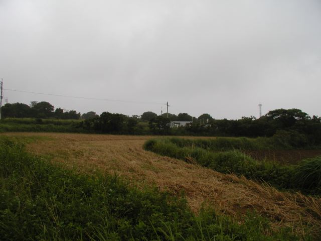 m_P6240149.JPG