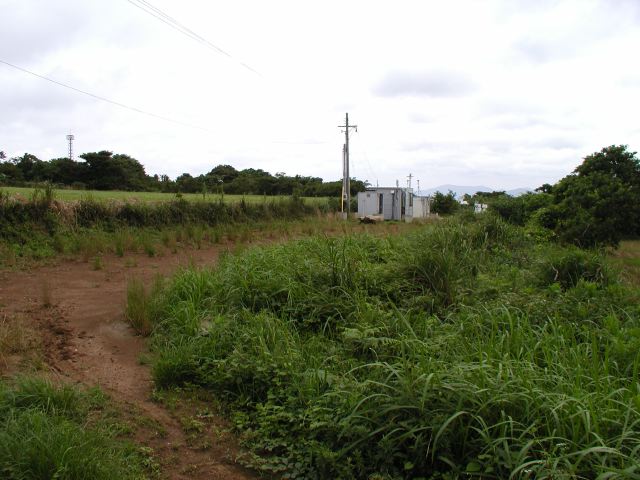 m_P7060075.JPG