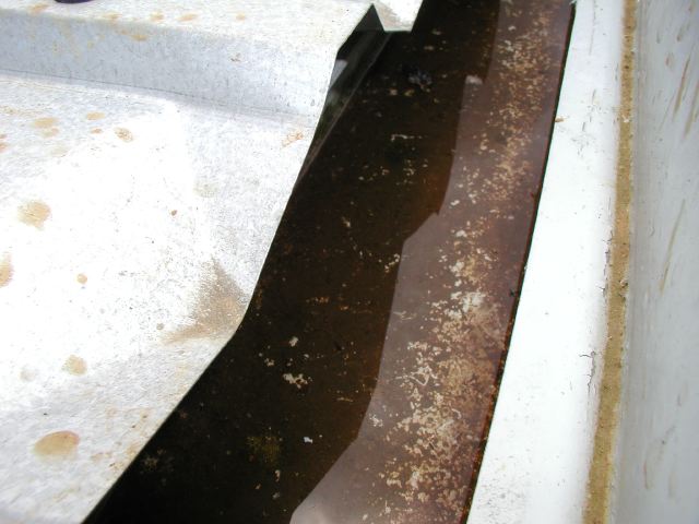 m_P7060090.JPG