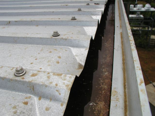 m_P7060091.JPG