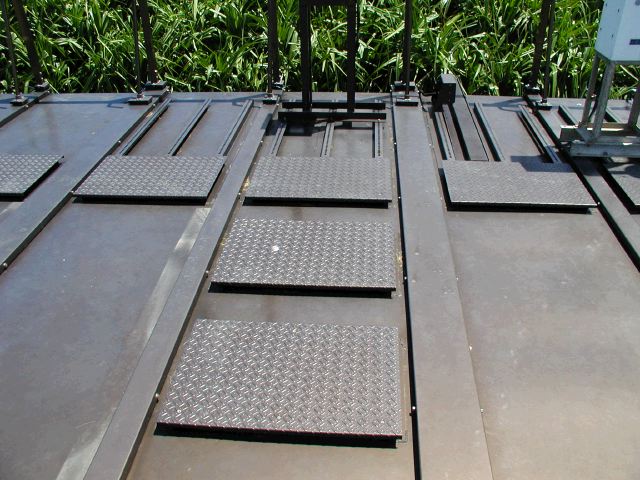 m_P9040150.JPG