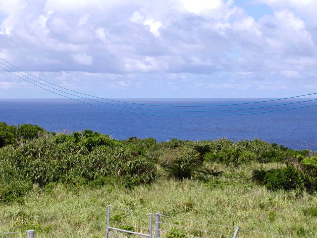 m_P9040171.JPG