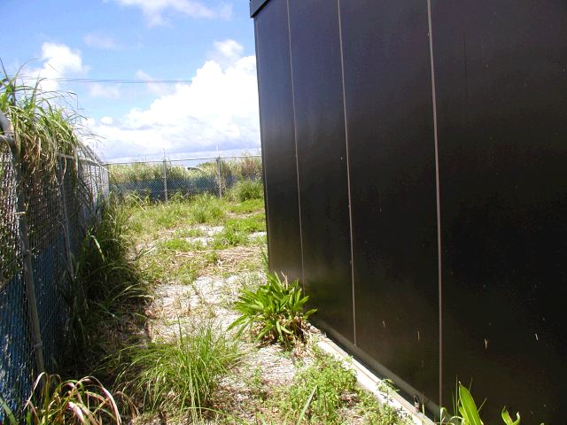 m_P9040186.JPG