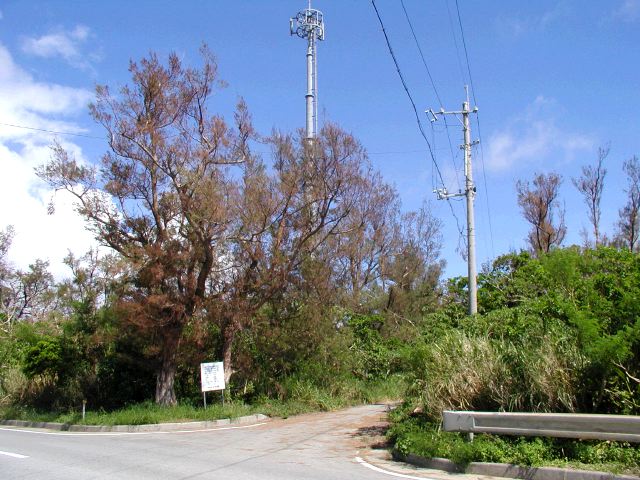 m_P9040198.JPG