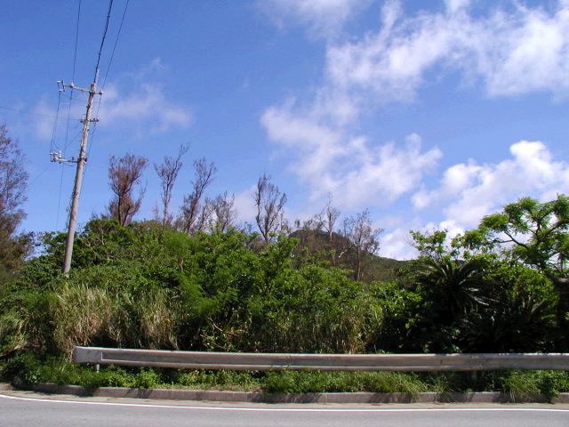 m_P9040199.JPG