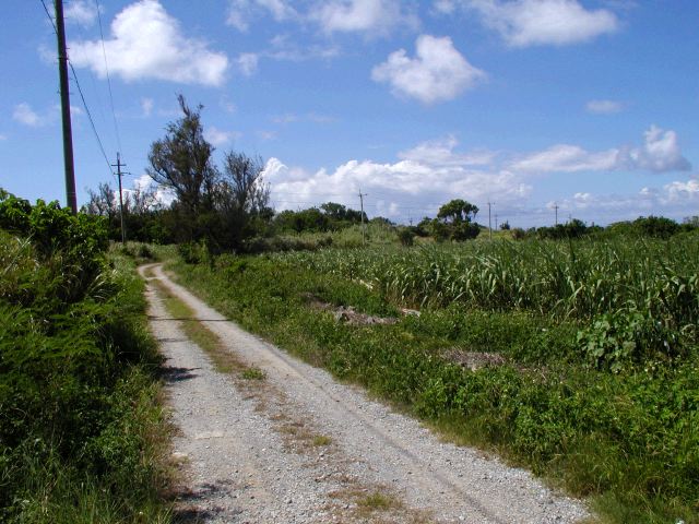 m_P9040201.JPG