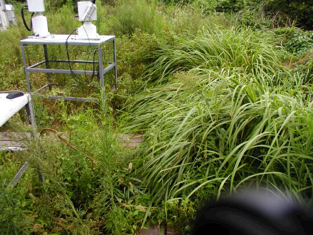 m_P9110024.JPG