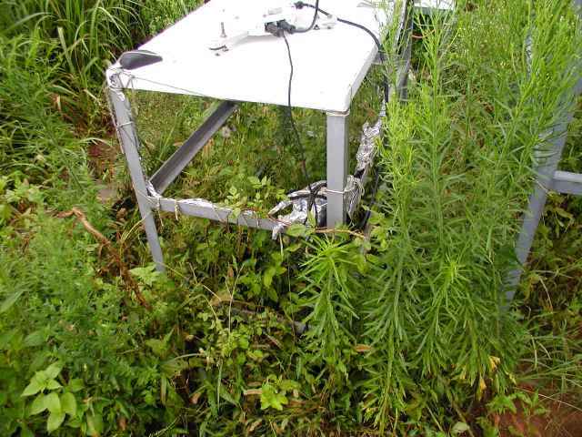 m_P9110025.JPG