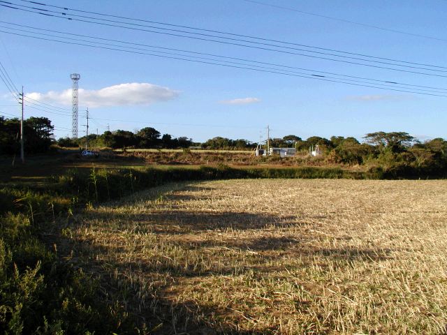 m_PA290060.JPG