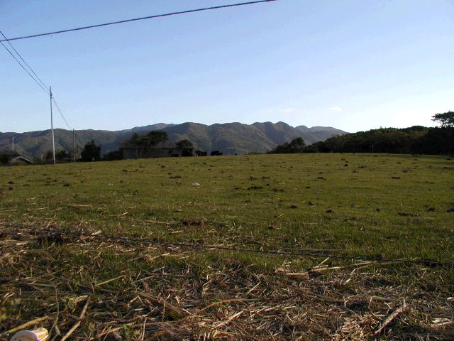 m_PA290063.JPG