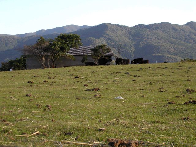 m_PA290064.JPG