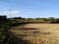 PA290060.JPG