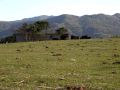PA290064.JPG