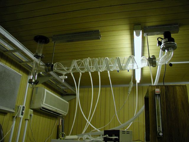 m_PC010047.JPG