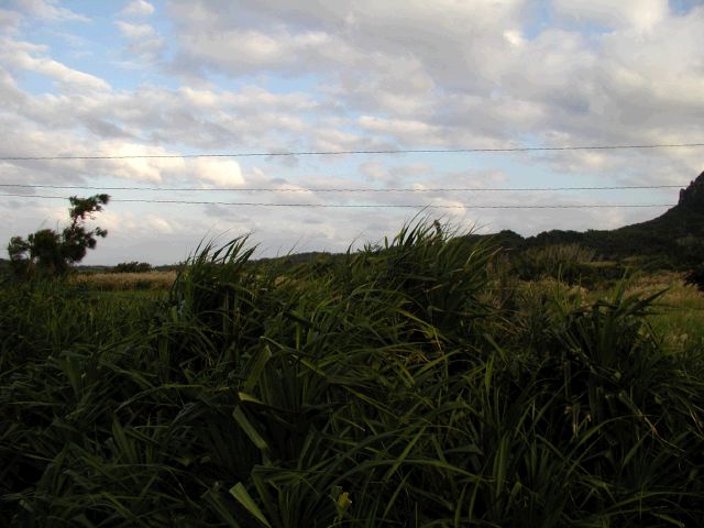 m_PC020065.JPG