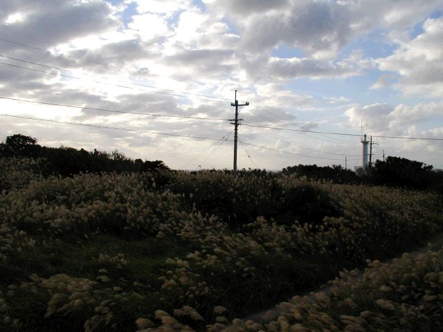 m_PC020069.JPG
