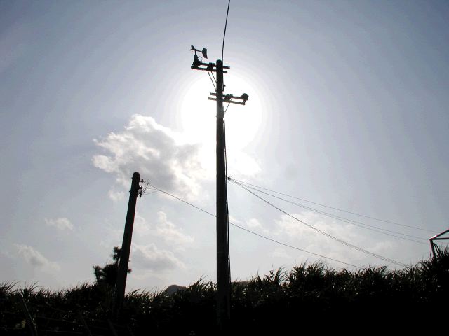 m_PC030101.JPG