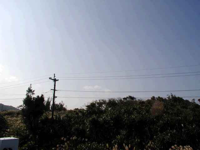m_PC030103.JPG
