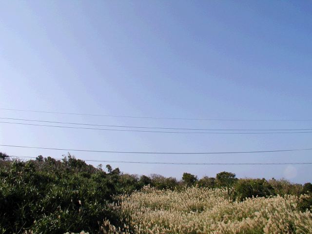m_PC030104.JPG