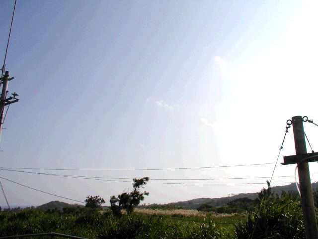 m_PC030109.JPG