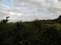 PC020065.JPG
