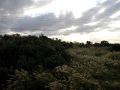 PC020068.JPG