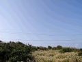 PC030104.JPG