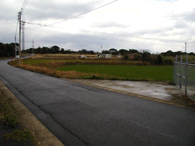 m_P2040001.JPG