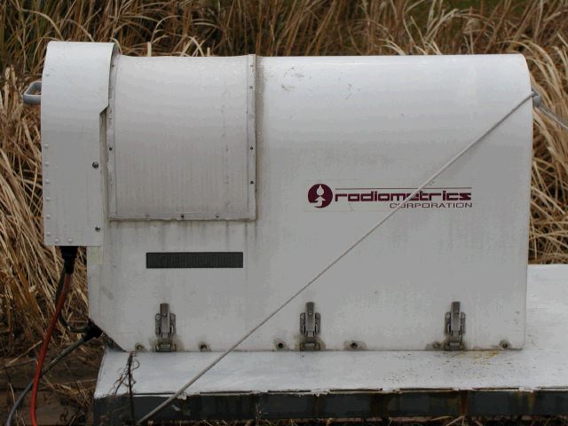 m_P2040008.JPG