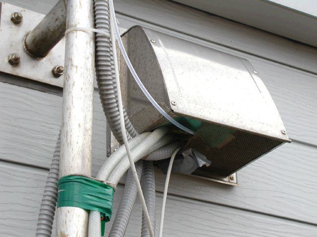 m_P2040020.JPG