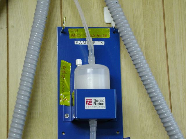 m_P2040035.JPG