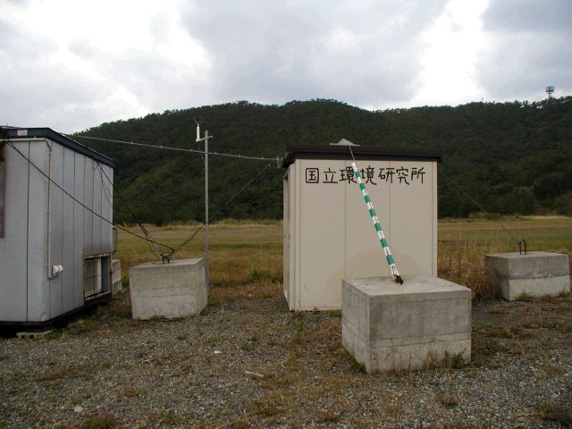 m_P2050080.JPG