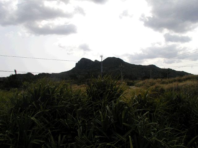 m_P2180076.JPG