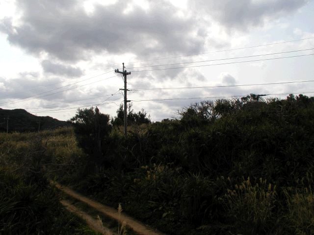 m_P2180077.JPG