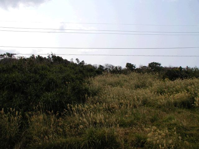m_P2180078.JPG