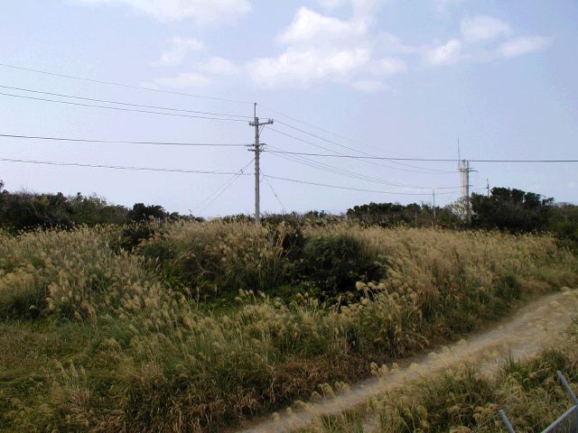 m_P2180079.JPG