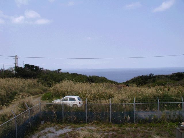 m_P2180080.JPG