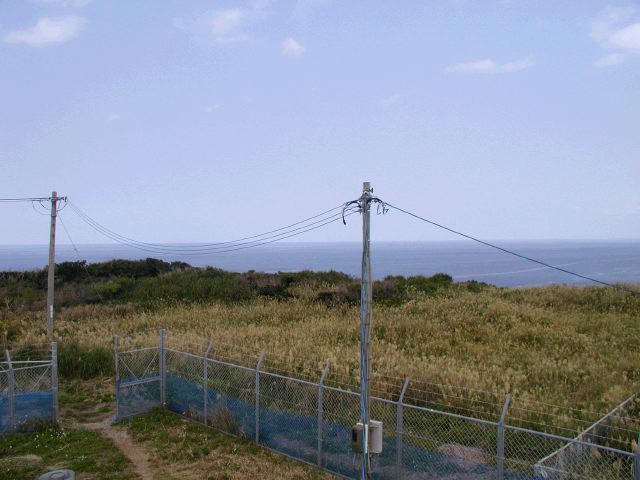 m_P2180081.JPG